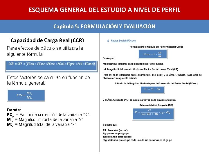ESQUEMA GENERAL DEL ESTUDIO A NIVEL DE PERFIL Capítulo 5: FORMULACIÓN Y EVALUACIÓN Capacidad