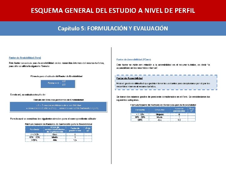 ESQUEMA GENERAL DEL ESTUDIO A NIVEL DE PERFIL Capítulo 5: FORMULACIÓN Y EVALUACIÓN 