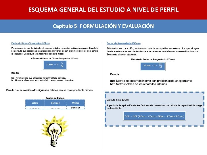 ESQUEMA GENERAL DEL ESTUDIO A NIVEL DE PERFIL Capítulo 5: FORMULACIÓN Y EVALUACIÓN 