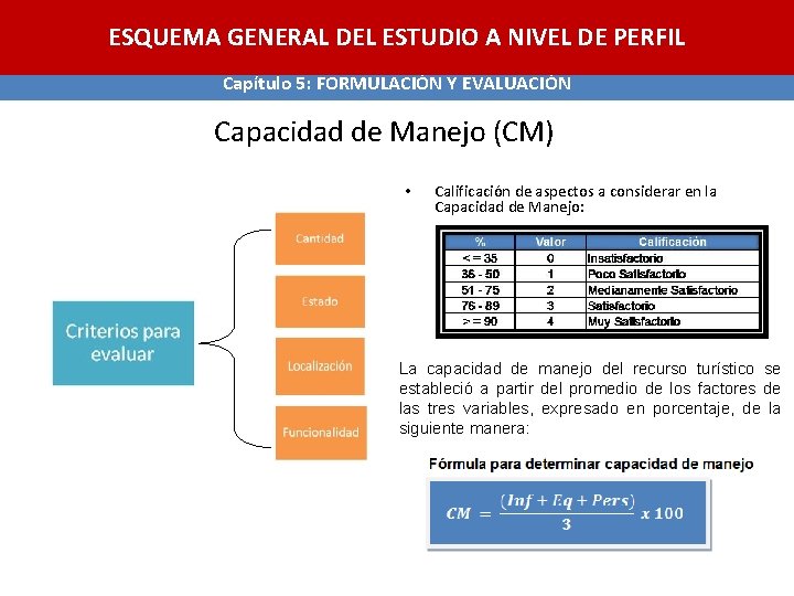 ESQUEMA GENERAL DEL ESTUDIO A NIVEL DE PERFIL Capítulo 5: FORMULACIÓN Y EVALUACIÓN Capacidad