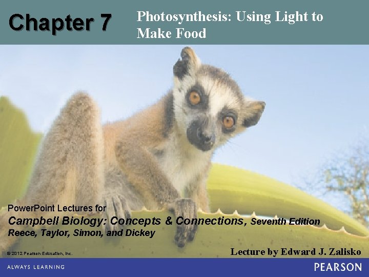 Chapter 7 Photosynthesis: Using Light to Make Food Power. Point Lectures for Campbell Biology: