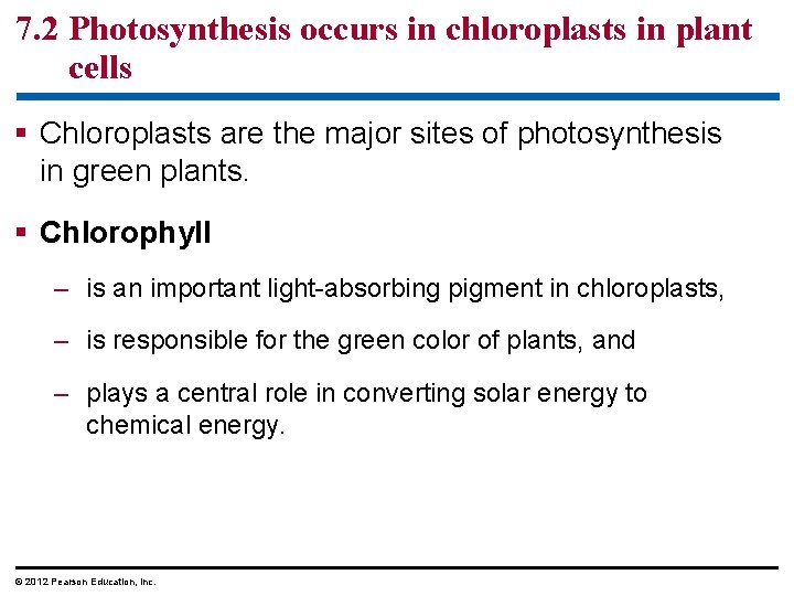 7. 2 Photosynthesis occurs in chloroplasts in plant cells § Chloroplasts are the major
