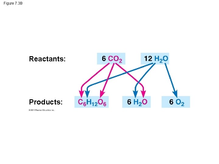Figure 7. 3 B Reactants: Products: 