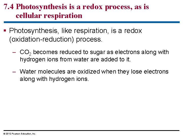 7. 4 Photosynthesis is a redox process, as is cellular respiration § Photosynthesis, like