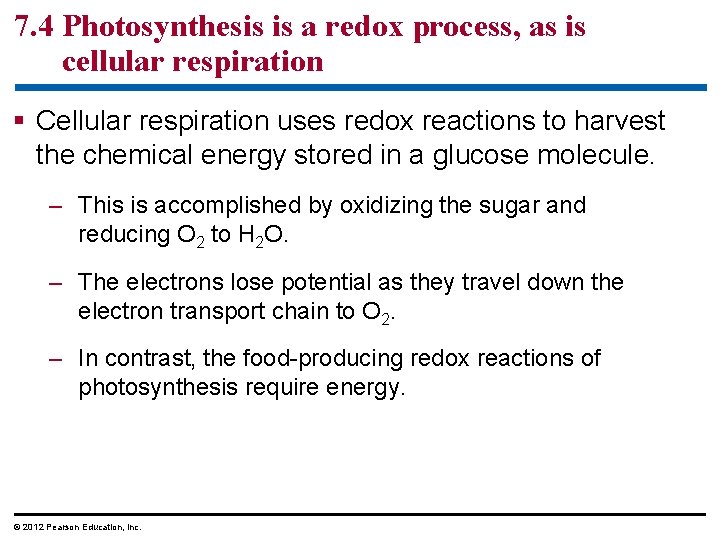 7. 4 Photosynthesis is a redox process, as is cellular respiration § Cellular respiration