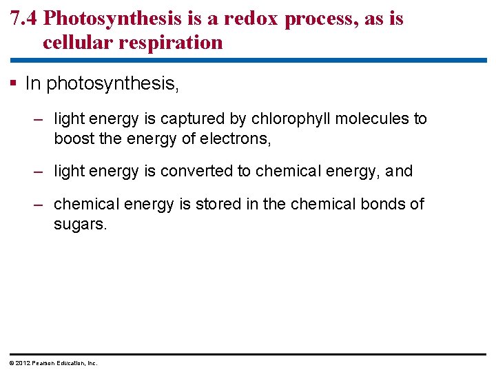 7. 4 Photosynthesis is a redox process, as is cellular respiration § In photosynthesis,