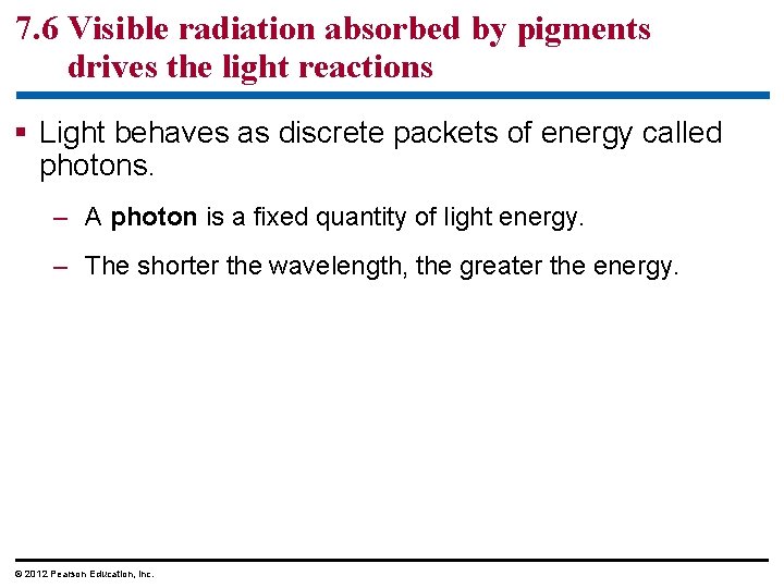 7. 6 Visible radiation absorbed by pigments drives the light reactions § Light behaves