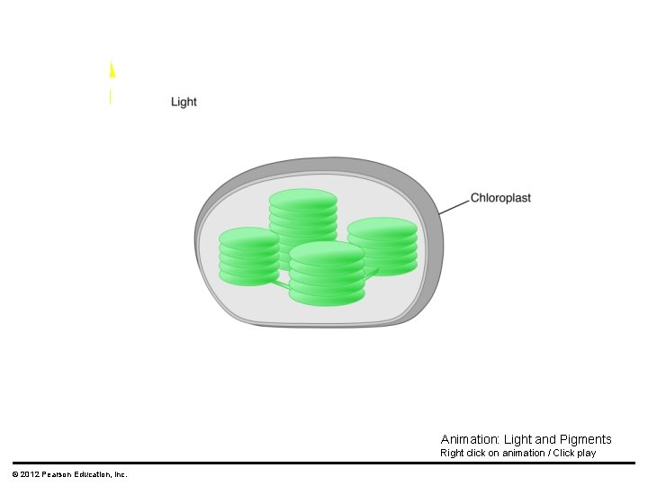 Animation: Light and Pigments Right click on animation / Click play © 2012 Pearson