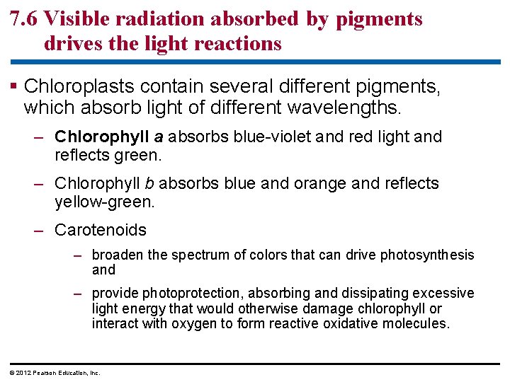7. 6 Visible radiation absorbed by pigments drives the light reactions § Chloroplasts contain