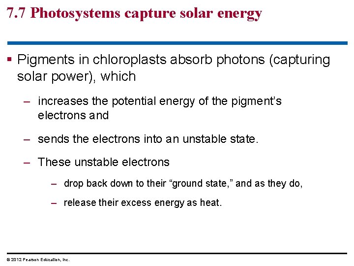 7. 7 Photosystems capture solar energy § Pigments in chloroplasts absorb photons (capturing solar