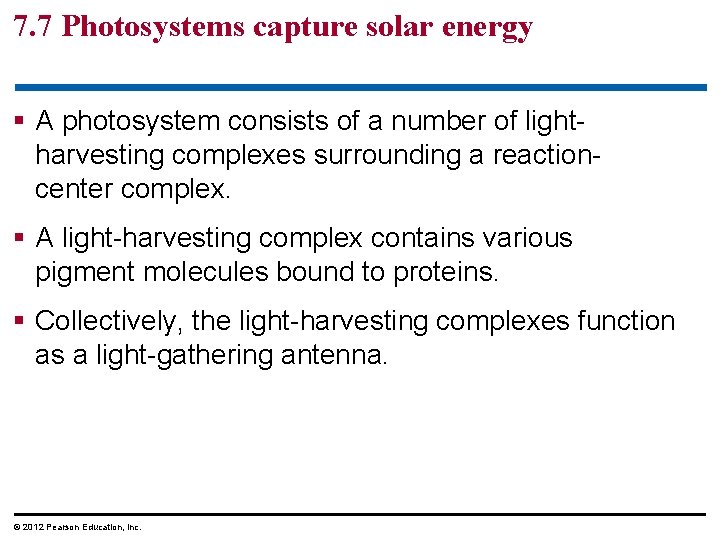 7. 7 Photosystems capture solar energy § A photosystem consists of a number of