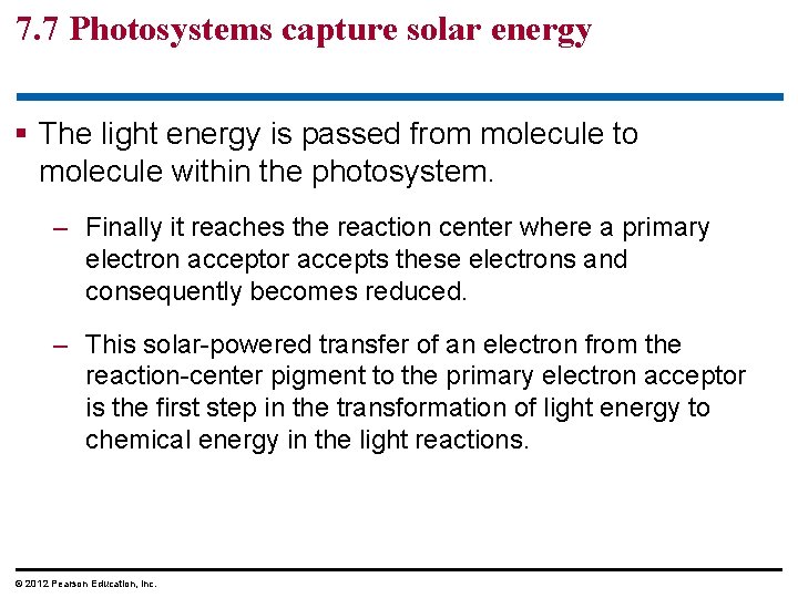 7. 7 Photosystems capture solar energy § The light energy is passed from molecule