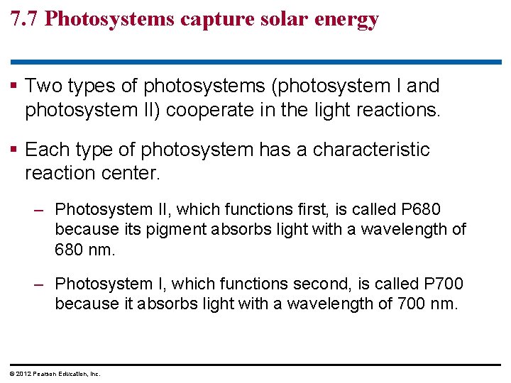 7. 7 Photosystems capture solar energy § Two types of photosystems (photosystem I and