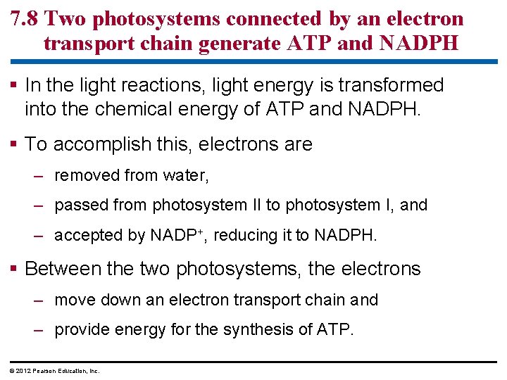 7. 8 Two photosystems connected by an electron transport chain generate ATP and NADPH