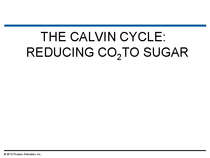 THE CALVIN CYCLE: REDUCING CO 2 TO SUGAR © 2012 Pearson Education, Inc. 