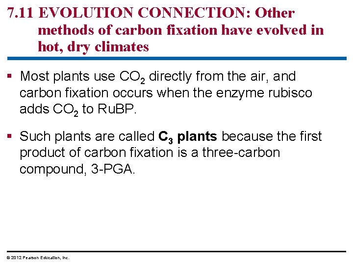 7. 11 EVOLUTION CONNECTION: Other methods of carbon fixation have evolved in hot, dry