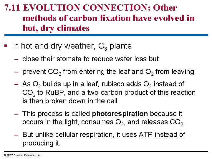 7. 11 EVOLUTION CONNECTION: Other methods of carbon fixation have evolved in hot, dry