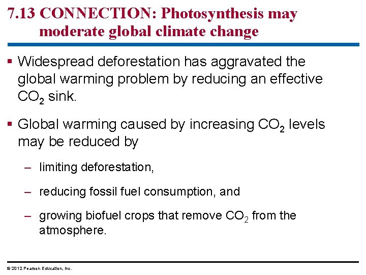 7. 13 CONNECTION: Photosynthesis may moderate global climate change § Widespread deforestation has aggravated