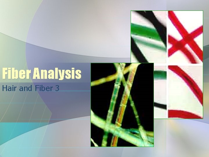 Fiber Analysis Hair and Fiber 3 