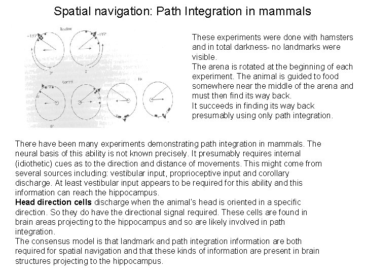 Spatial navigation: Path Integration in mammals These experiments were done with hamsters and in