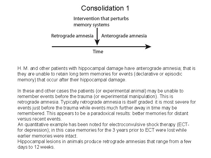 Consolidation 1 H. M. and other patients with hippocampal damage have anterograde amnesia; that