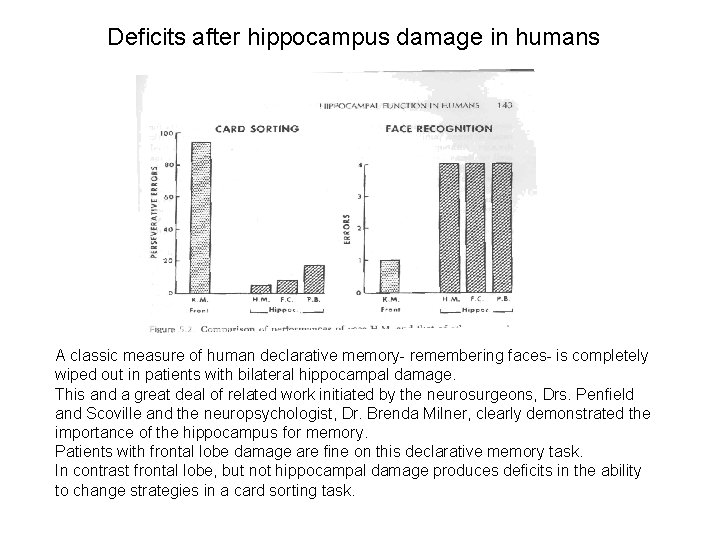 Deficits after hippocampus damage in humans A classic measure of human declarative memory- remembering