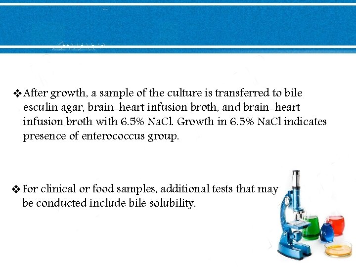 v. After growth, a sample of the culture is transferred to bile esculin agar,