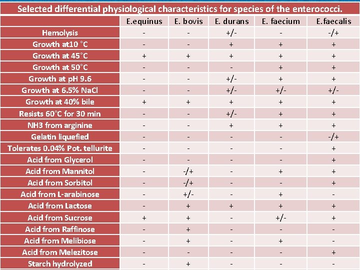 Selected differential physiological characteristics for species of the enterococci. Hemolysis Growth at 10 °C