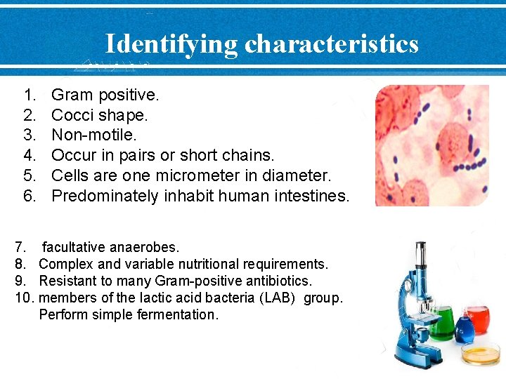 Identifying characteristics 1. 2. 3. 4. 5. 6. Gram positive. Cocci shape. Non-motile. Occur