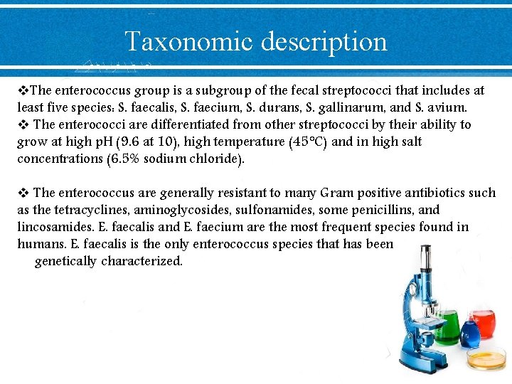 Taxonomic description v. The enterococcus group is a subgroup of the fecal streptococci that