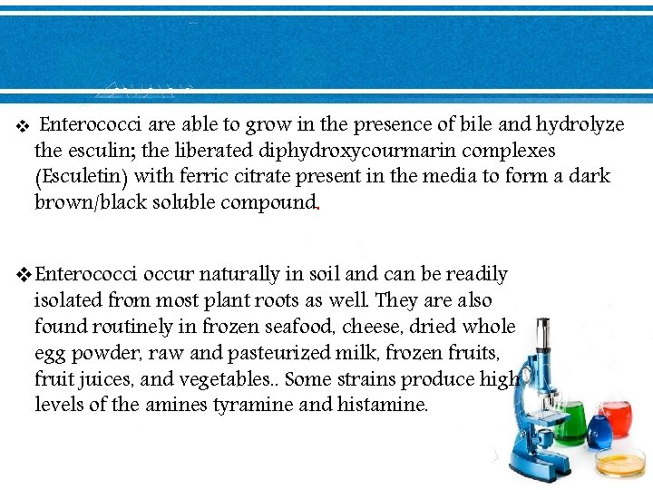 v Enterococci are able to grow in the presence of bile and hydrolyze the