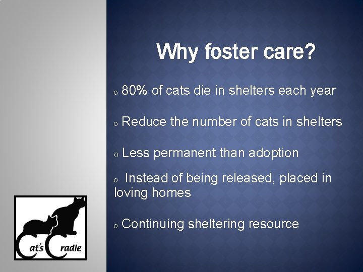 Why foster care? 80% of cats die in shelters each year O Reduce the