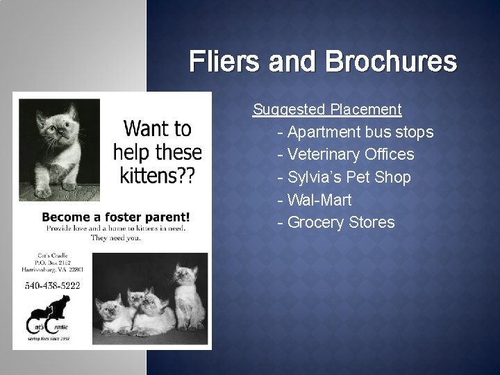 Fliers and Brochures Suggested Placement - Apartment bus stops - Veterinary Offices - Sylvia’s