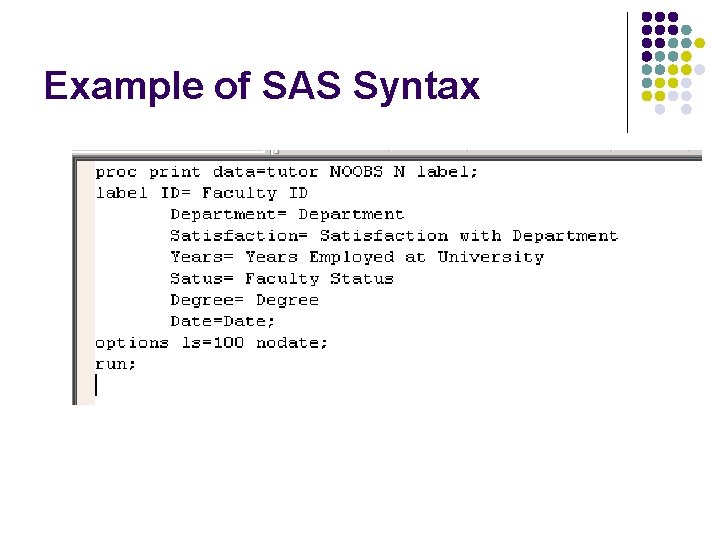 Example of SAS Syntax 