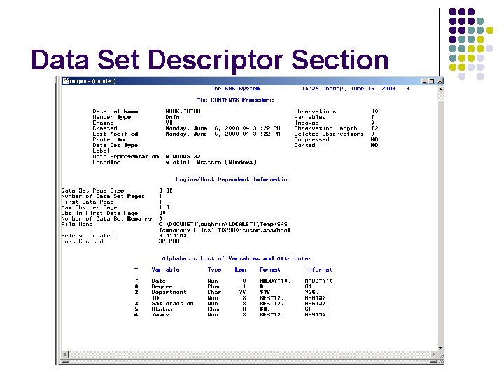 Data Set Descriptor Section 