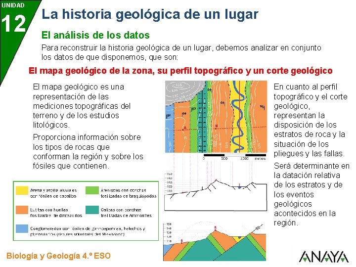 UNIDAD 12 La historia geológica de un lugar El análisis de los datos Para UNIDAD 12 La historia geológica de un lugar El análisis de los datos Para