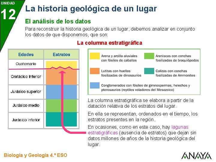 UNIDAD 12 La historia geológica de un lugar El análisis de los datos Para UNIDAD 12 La historia geológica de un lugar El análisis de los datos Para