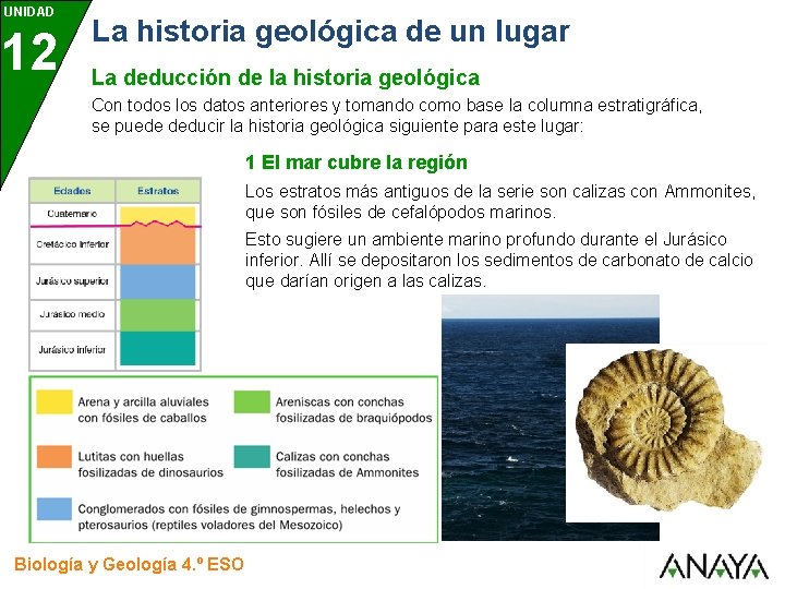 UNIDAD 12 La historia geológica de un lugar La deducción de la historia geológica UNIDAD 12 La historia geológica de un lugar La deducción de la historia geológica