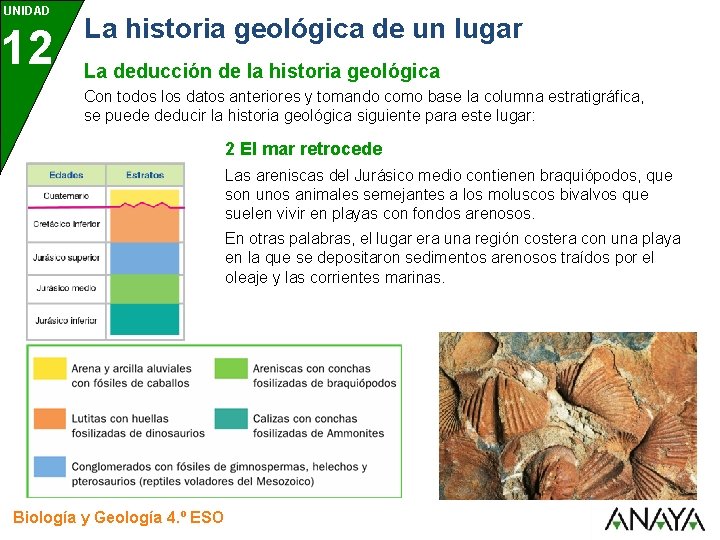 UNIDAD 12 La historia geológica de un lugar La deducción de la historia geológica UNIDAD 12 La historia geológica de un lugar La deducción de la historia geológica