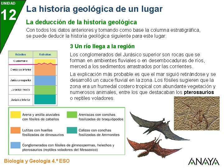 UNIDAD 12 La historia geológica de un lugar La deducción de la historia geológica UNIDAD 12 La historia geológica de un lugar La deducción de la historia geológica