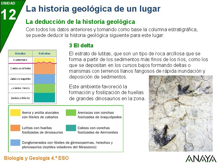 UNIDAD 12 La historia geológica de un lugar La deducción de la historia geológica UNIDAD 12 La historia geológica de un lugar La deducción de la historia geológica