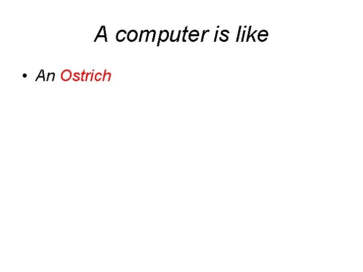 A computer is like • An Ostrich 