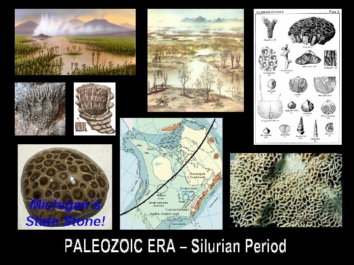 Michigan’s State Stone! 