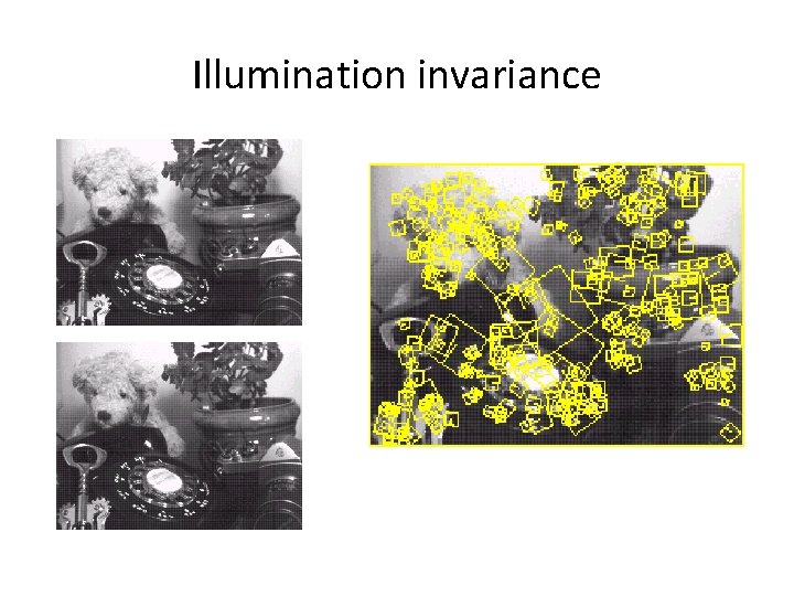 Illumination invariance Illumination invariance