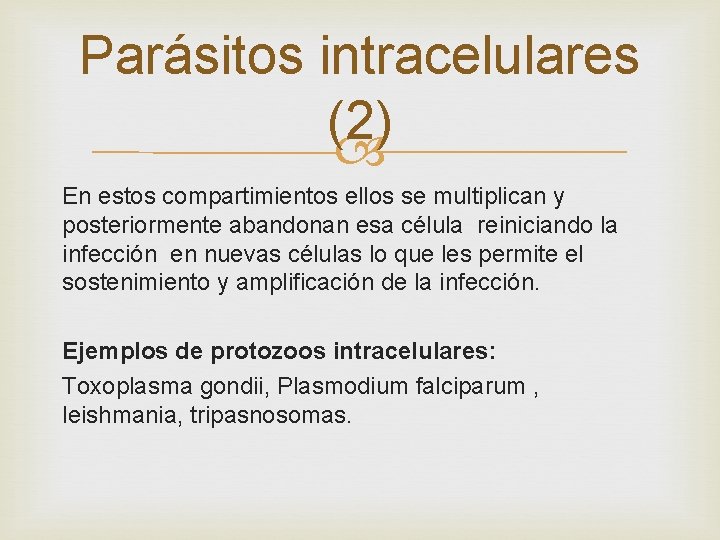 Parásitos intracelulares (2) En estos compartimientos ellos se multiplican y posteriormente abandonan esa célula