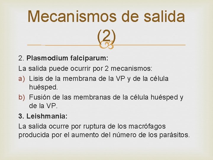 Mecanismos de salida (2) 2. Plasmodium falciparum: La salida puede ocurrir por 2 mecanismos:
