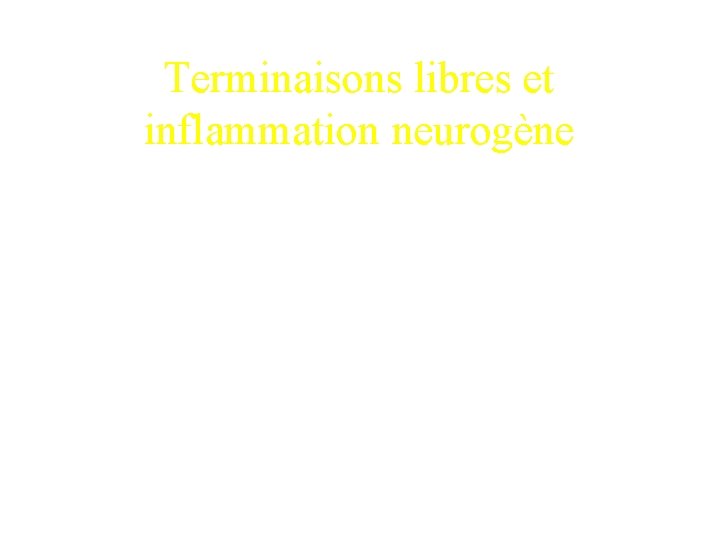 Terminaisons libres et inflammation neurogène 