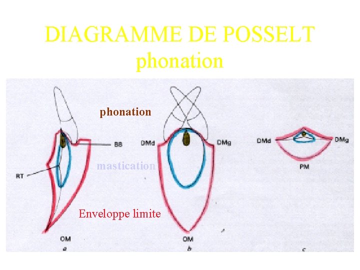 DIAGRAMME DE POSSELT phonation mastication Enveloppe limite 