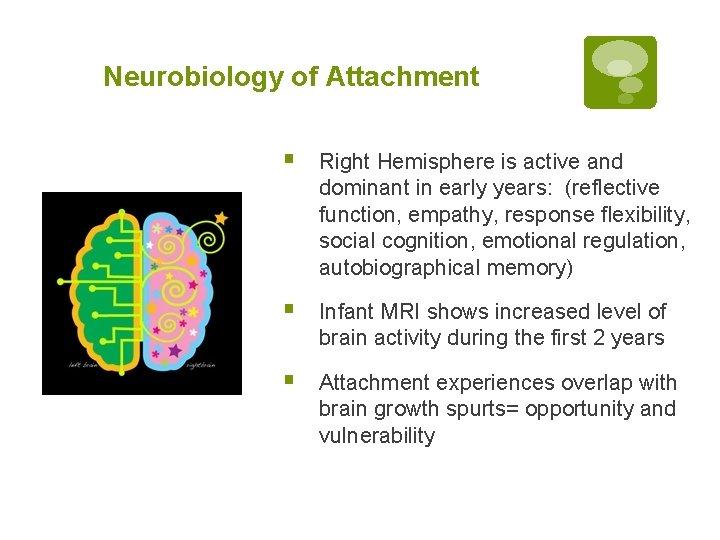 Neurobiology of Attachment § Right Hemisphere is active and dominant in early years: (reflective