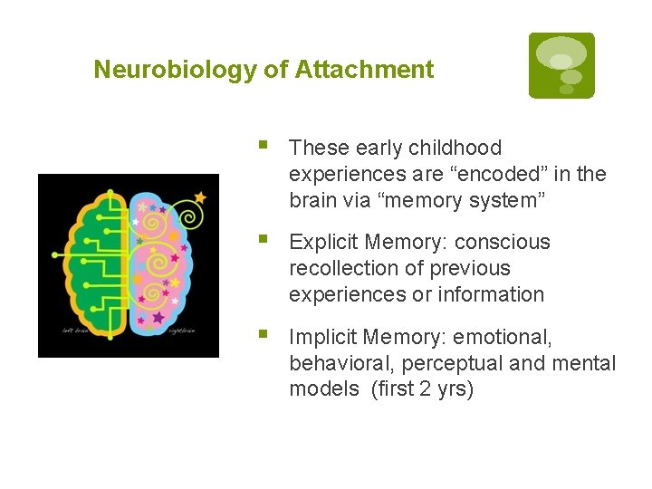 Neurobiology of Attachment § These early childhood experiences are “encoded” in the brain via